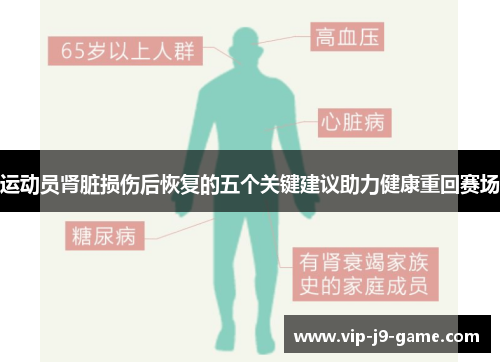 运动员肾脏损伤后恢复的五个关键建议助力健康重回赛场