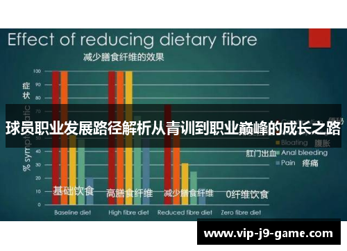 球员职业发展路径解析从青训到职业巅峰的成长之路