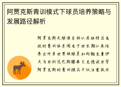 阿贾克斯青训模式下球员培养策略与发展路径解析