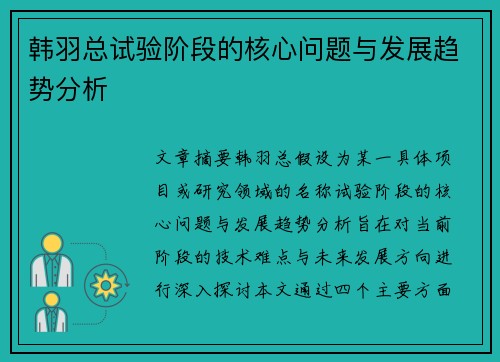 韩羽总试验阶段的核心问题与发展趋势分析