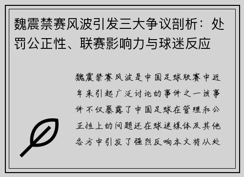 魏震禁赛风波引发三大争议剖析：处罚公正性、联赛影响力与球迷反应